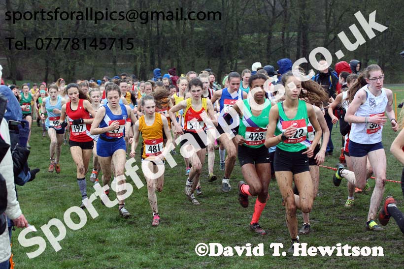 Junior girls 2019 New Balance English Schools Cross Country Champs, Temple Newsam, Leeds. Photo:  David T. Hewitson/Sports for All Pics